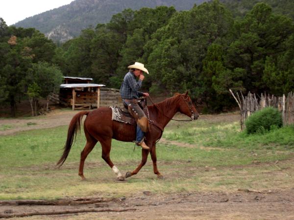 Rod Taylor riding off to find the missing heifers